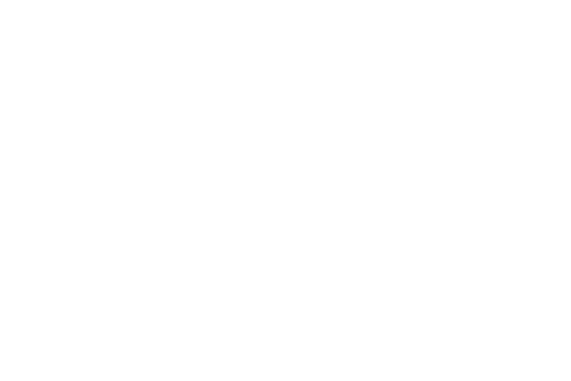 Vinodam Palace